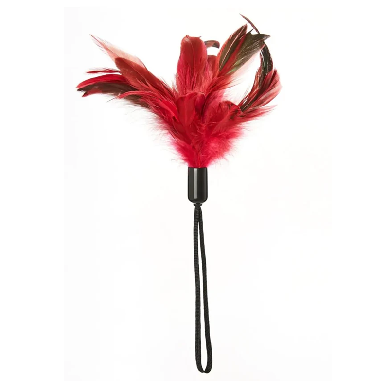 Pleasure Feather - Sensational Accessory for Ultimate Sensation and Fun - BDSM - The Naughty & Nice District - Adult Sex Toy Store